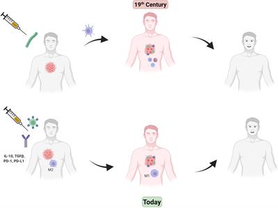 Glycoconjugate Nanoparticle-Based Systems in Cancer Immunotherapy: Novel Designs and Recent Updates